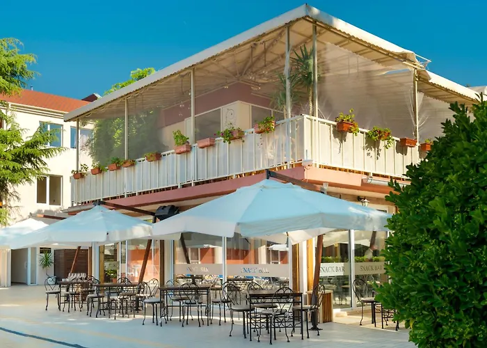 Asteria Family Sunny