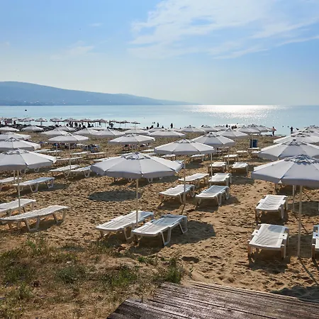 Asteria Family Sunny