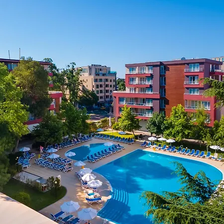 Asteria Family Sunny