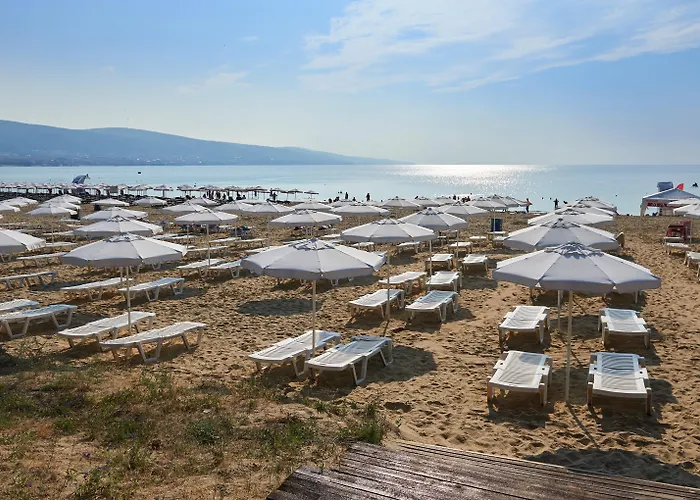 Asteria Family Sunny